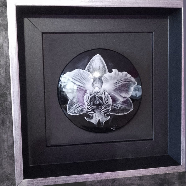 Orchidée
