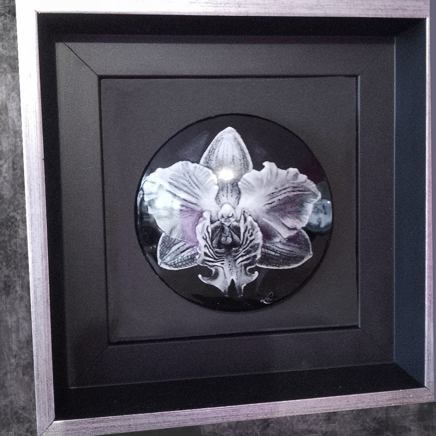 Orchidée