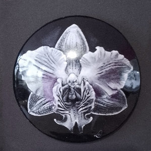 Orchidée