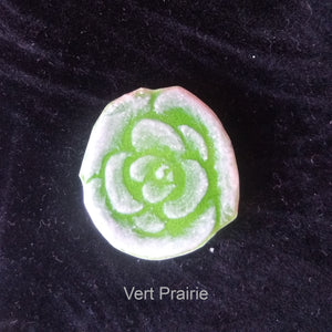 Broche Rose Sucrée